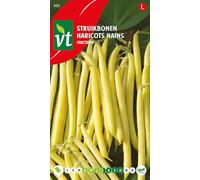 Haricots Fructidor Semences