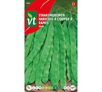 Haricots Helda Graines - Excellente variété à cosses longues et larges