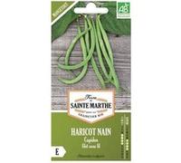 Haricots nain Cupidon bio - Graines à semer Vert https://www.fnac.com/mp44743379/Haricots-nain-Cupidon-bio-Graines-a-semer-La-ferme-de-Sainte-Marthe/w-4?oref=39c16bfe-715a-f9f0-11d6-604937ab3a21