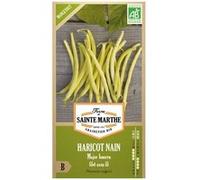 Haricots nain Major Beurre bio - Graines à semer Blanc G