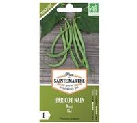 Haricots nain Maxi Filet bio - Graines à semer Vert G