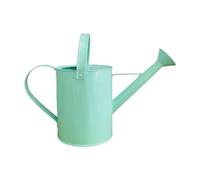 Harilla Arrosoir en métal de 1,4 L pour Plantes d'extérieur, Maison, Fleurs, Cadeaux pour Enfants et Adultes, arrosoir Portable et Pratique, Outil de