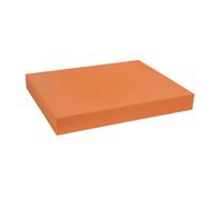 Harilla Balance Training Pad Coussin d'Équilibre Tapis d'Instabilité Pad de Stabilité Coussin de Rééducation Mousse TPE Confortable et pour Renforcer le Tronc, Orange Vif, 50cm