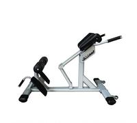 Harilla Banc d'Entraînement Fitness Banc de Musculation Banc Hyperextension Banc Romain en Acier avec Coussin Rembourré et Poignées Latérales Réglable pour, Chaise Romaine Argentée