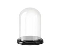Harilla Boîte Présentation pour Figurine en Pet Transparent avec Dôme et Socle Antidérapant pour Objet sur Étagère et Bureau, Petit, Noir Mystérieux