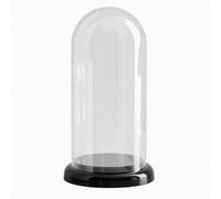 Harilla Boîte Présentation pour Figurine en Pet Transparent avec Dôme et Socle Antidérapant pour Objet sur Étagère et Bureau, Grand, Noir Mystérieux