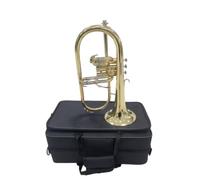 Harilla Flugelhorn Instrument à Vent Cuivré Trompette Basse Cornet à Pistons en Cuivre au Phosphore Son Chaleureux et Riche Projection par Pavillon Évasé et