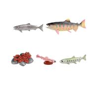 Harilla Jouets du Cycle de vie du saumon, ensemble du Cycle de croissance des animaux, outils d'enseignement scientifique, Figurines d'animaux de la ferme, BRUN
