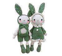 Harilla Kit de Crochet Fait à la Main Lapins Mignons Crochet de démarrage pour Animaux en Peluche Faites Votre Propre poupée Comprend Fil, Crochet, Vert