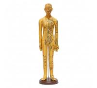 Harilla Mannequin d'Acupuncture Modèle Didactique Figurine Médicale Support de Pratique Réseau Méridien et Localisation des Points Marquages Précis en Pvc, 62 Cm, style to 4