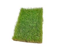 Harilla Modèle de touffe d'herbe miniature, d'herbe polyvalente, modèle de déchiré à la main pour la construction de chemin de fer de, Vert Printanier