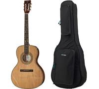 Harley Benton Harley Benton CLF-200 WN w/Bag