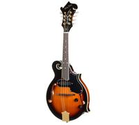 Harley Benton Harley Benton HBMA-100E- VS