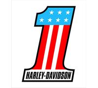 Harley Davidson 1 Autocollant en vinyle Motif graphique 11 x 16 cm