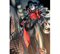 Harley Quinn (Gun Smoke 60 x 80 cm Toile Imprimée