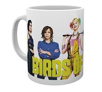Harley Quinn Mug Birds of Prey Groupe