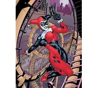 Harley Quinn (Rollercoaster 60 x 80 cm Toile Imprimée