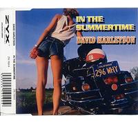 Harleyson,David - In the Summertime [Vinyl Maxi-Single]