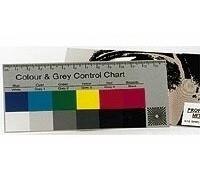 Harman International - professionnelle du couleur grand et carte Gris