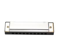 Harmonica de blues à 10 trous revêtement d acier avec étui transparent pour débutants