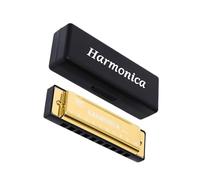 Harmonica diatonique chromatique à 10 trous avec finition en métal lisse - Convient pour les amateurs de musique et les étudiants - Instrument de musique de voyage