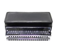 Harmonica Professionnel Ensemble De Contrebasse Harmonica Instrument Professionnel Accompagnement De Groupe