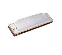 Harmonica Professionnel Harmonica Diatonique Gaita Blues 10 Trous 20 Tons Pour Débutant(Key of D)