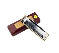 Harmonica Professionnel Harmonica Diatonique Standard Pour Débutant Blues Gaita 10 Trous Instrument De Musique(KEY OF F)