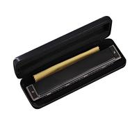Harmonica trémolo 24 trous, orgue, Black 24 hole polyph | Double trémolo diatonique professionnel, pour adultes, étudiant en musique, pour professeur, Blues Folk