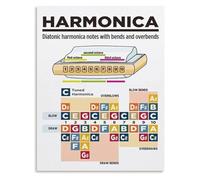 Harmonica Wall Art Notes and Fingering Chart Canvas Print for Harmonica Player Gift or Music Lovers Room Decor(Framed,16x24inch(40x60cm))