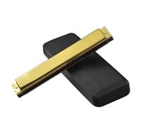 Harmonicas Harmonica diatonique en do majeur à 28 trous instrument idéal pour débuter et s'entraîner(Gold)