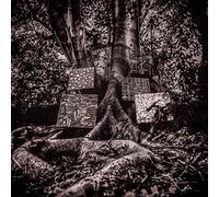 Harmony of Difference [帯・解説付 / 国内仕様輸入盤CD] (YTCD171JP)