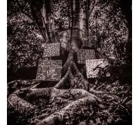 Harmony Of Difference CD