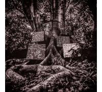 Harmony Of Difference Vinyle