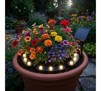Harms Lampe Solaire Blumentopflampe Extérieur LED Noir 8 Niveaux