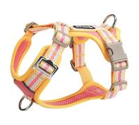 Harnais Ajustable spécialement conçu pour Les Border Terrier. Ce Harnais Anti-Traction de Type Gilet est doté d'un Anneau en D métallique et d'un Tissu en Maille Douce et Respirante. E L