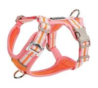 Harnais Ajustable spécialement conçu pour Les Cairn Terrier. Ce Harnais Anti-Traction de Type Gilet est doté d'un Anneau en D métallique et d'un Tissu en Maille Douce et Respirante. B S