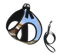 Harnais amusant pour chien avec imprimé lama alpaga, 2 boucles, gilet pour chien, clip avant anti-tirage, pour chiens de petite et moyenne taille
