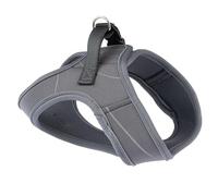 Harnais Anthracite pour Chien Taille M : Tour de poitrail 46 cm