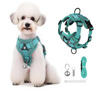 Harnais Anti-évasion pour Animaux de Compagnie + Corde de Traction, Sangle réglable Anti-évasion avec Bandes réfléchissantes, sûre et Confortable la Nuit, Convient aux Chats et Chiens, Bleu lac (M)