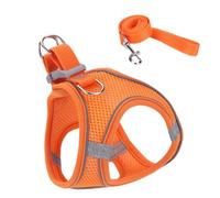 Harnais anti-fugue pour chat | Harnais réglable pour chat | Collier gilet pour animal de compagnie de petite, moyenne et grande taille pour randonnée, entraînement, camping en plein air