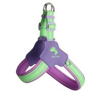 Harnais Anti-Traction en Forme de Y spécialement conçu pour Les Border Terrier. Il est doté d'un Gilet de Poitrine rembourré et Ajustable avec Bandes réfléchissantes Purple S