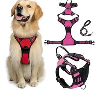 Harnais Anti-Traction Fellstern avec Corde De Traction, Réfléchissant Le Chien for Les Chiens sans étranglement, Contrôle sans Tête - for Les Chiens De Grande Taille Et(Rose,XL)