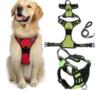 Harnais Anti-Traction Fellstern avec Corde De Traction, Réfléchissant Le Chien for Les Chiens sans étranglement, Contrôle sans Tête - for Les Chiens De Grande Taille Et(Green,S)