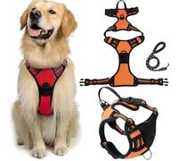 Harnais Anti-Traction Fellstern avec Corde De Traction, Réfléchissant Le Chien for Les Chiens sans étranglement, Contrôle sans Tête - for Les Chiens De Grande Taille Et(Orange,XL)