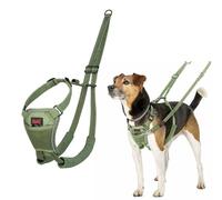 Harnais Anti-Traction HALTI - pour Que Votre Chien arrête de Tirer sur sa Laisse, Réfléchissant, Sangle de poitrail et des Pattes Avant rembourrée, Harnais pour Petits Chiens (Taille XS, Vert Forêt)