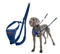 Harnais Anti-Traction HALTI - pour Que Votre Chien arrête de Tirer sur sa Laisse, Réfléchissant, Sangle de poitrail et des Pattes Avant rembourrée, Harnais pour Grand Chiens (Taille L, Bleu Cobalt)
