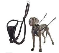 Harnais anti-traction HALTI, Taille L, Pour que votre chien arrête de tirer sur sa laisse, Réfléchissant sangle de poitrail et des pattes avant rembourrée, Harnais de anti-traction pour grand chiens
