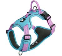 Harnais Anti-Traction pour Akita, avec poignée, Harnais Gilet réfléchissant Ajustable, Tissu Mesh Respirant et Doux, Boucles d'attache à l'avant et à l'arrière. Blue S