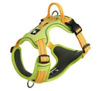 Harnais Anti-Traction pour Border Collie, avec poignée, Harnais Gilet réfléchissant Ajustable, Tissu Mesh Respirant et Doux, Boucles d'attache à l'avant et à l'arrière. Green S